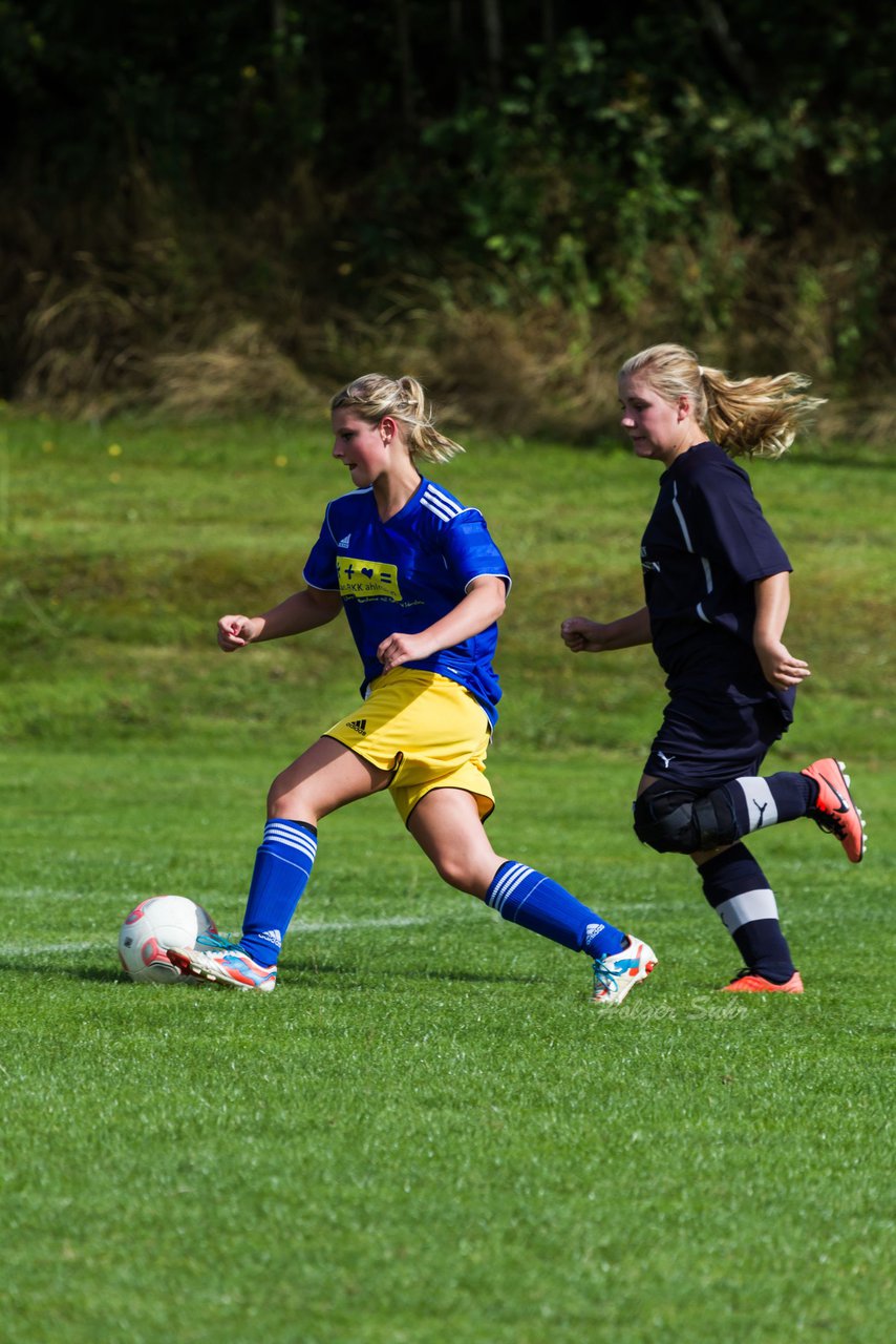 Bild 184 - Frauen TSV Gnutz - SG Slfeld/Oe/Se/Stu : Ergebnis: 2:3